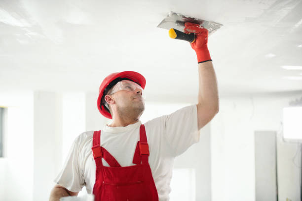  Como, WI Mold Removal Pros