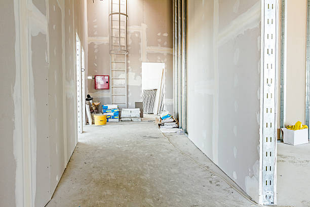 Best Basement Mold Removal  in Como, WI