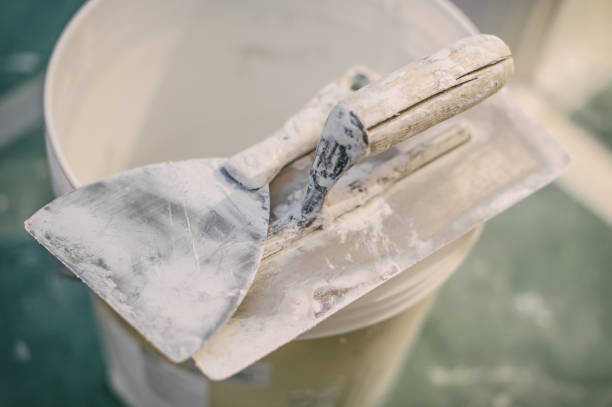 Best Attic Mold Removal  in Como, WI